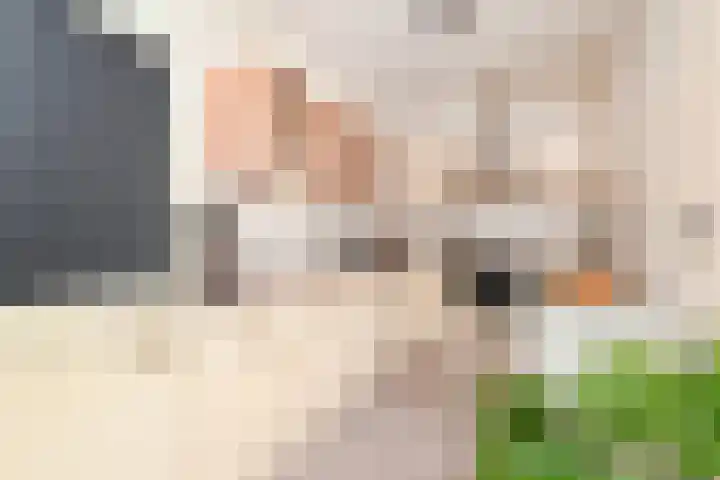 De Brink 66 Den Haag thumbnail 13