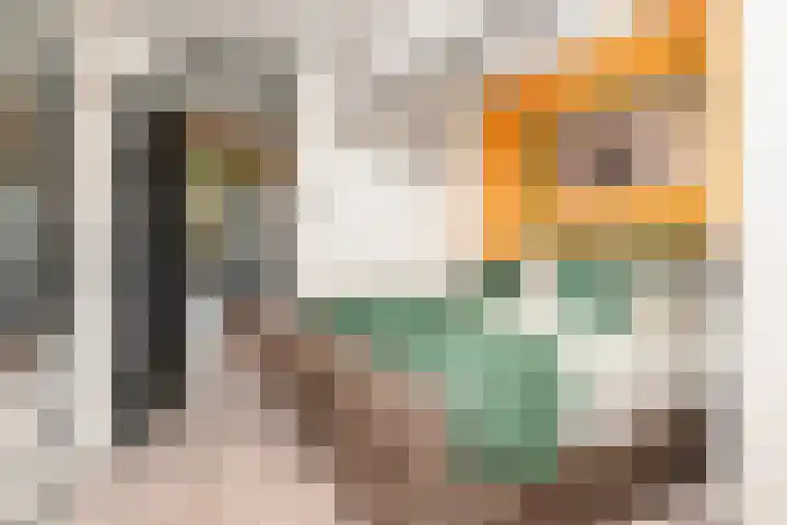 De Brink 66 Den Haag thumbnail 22