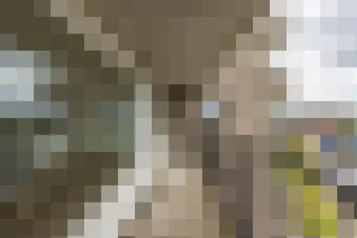 De Brink 68 Groningen thumbnail 15
