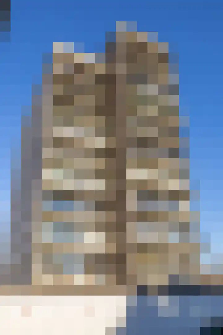 De Brink 68 Groningen thumbnail 6