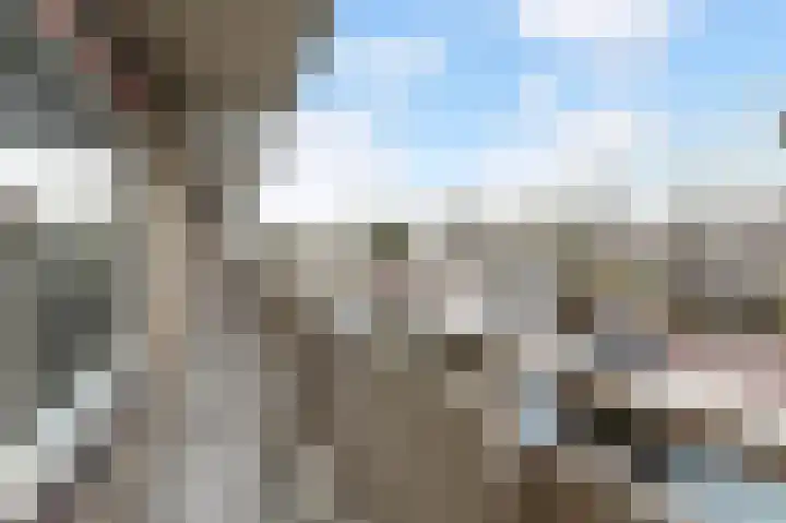 De Brink 788 Den Haag thumbnail 21