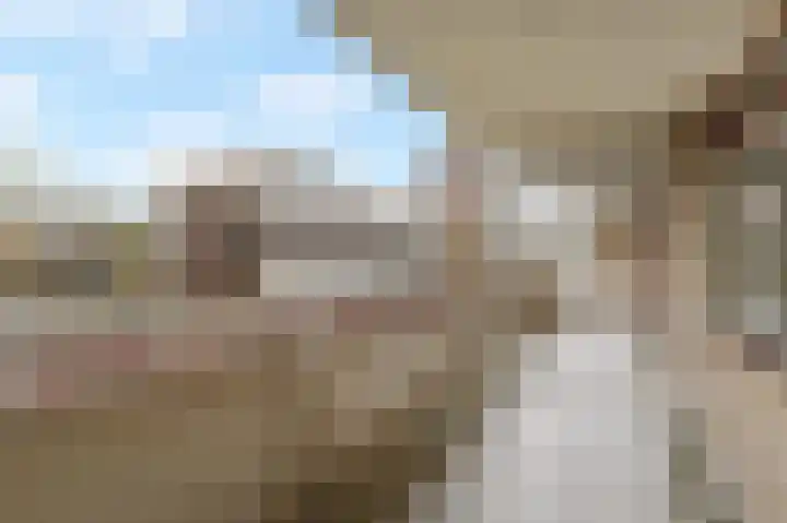 De Brink 788 Den Haag thumbnail 33