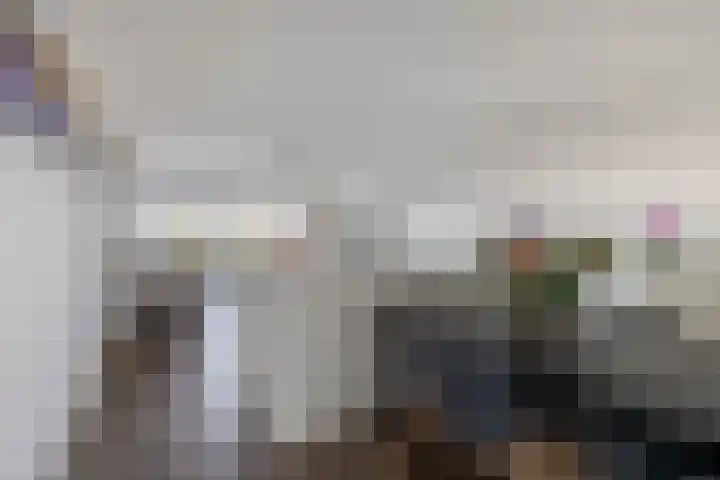De Brink 824 Den Haag thumbnail 17
