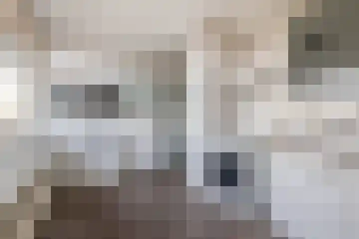 De Brink 824 Den Haag thumbnail 23