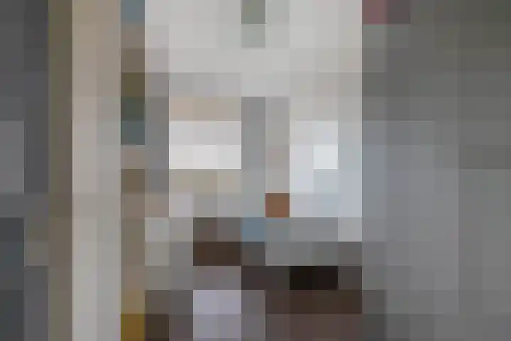 De Brink 824 Den Haag thumbnail 31