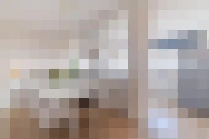 De Brink 920 Den Haag thumbnail 8