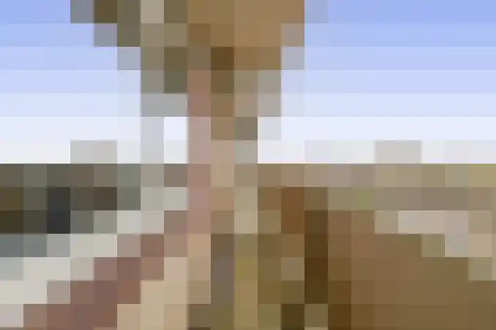 De Brink 938 Den Haag thumbnail 33