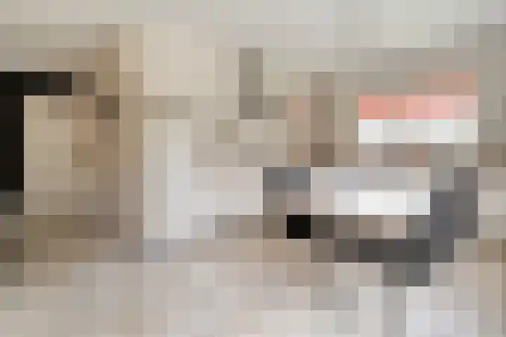 De Brinken 11 Erm thumbnail 16
