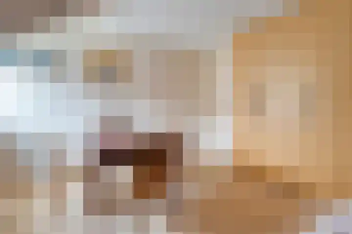 De Brinken 11 Erm thumbnail 27