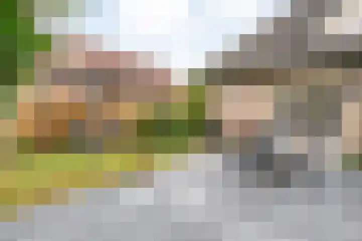 De Brinken 11 Erm thumbnail 34