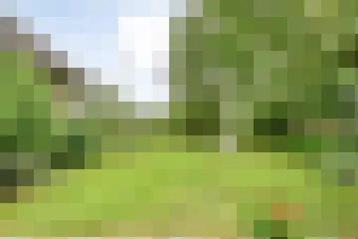 De Brinken 11 Erm thumbnail 35