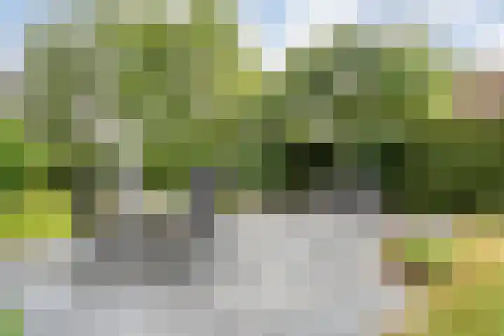 De Brinken 11 Erm thumbnail 38