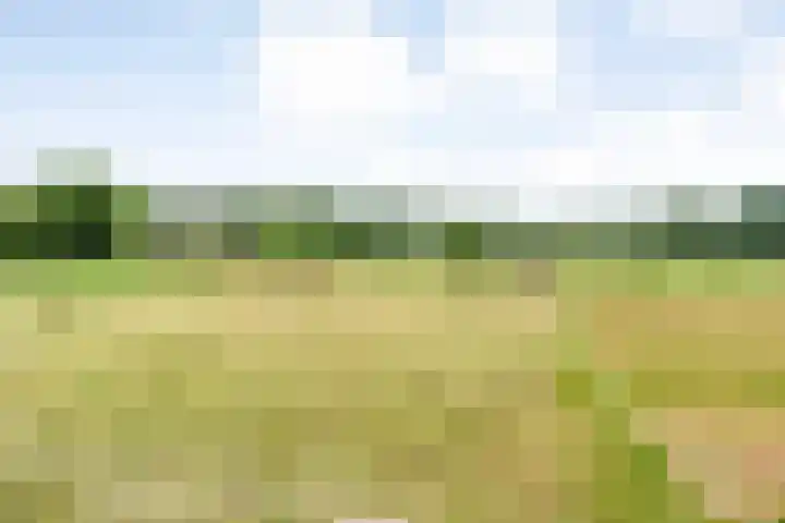 De Brinken 11 Erm thumbnail 41