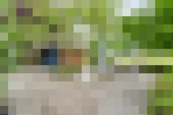 De Brinken 11 Erm thumbnail 45