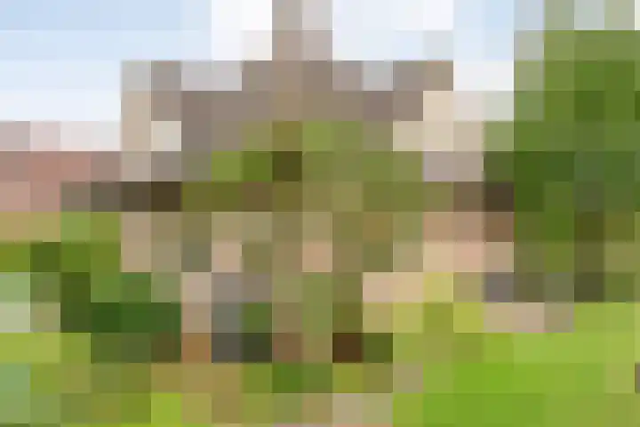 De Brinken 11 Erm thumbnail 56