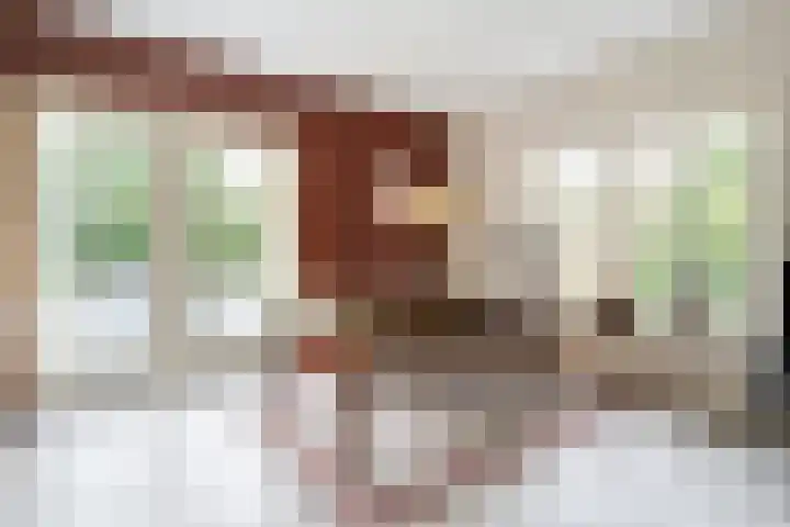 De Brinken 11 Erm thumbnail 7