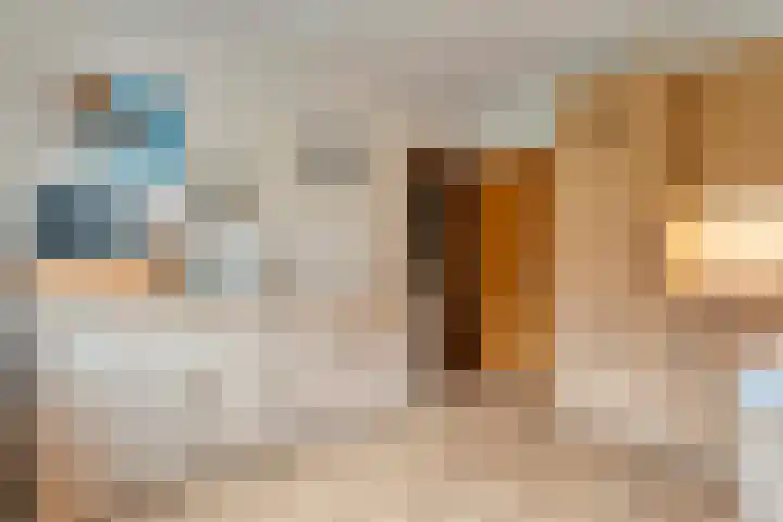 de Brinken 32 Dalen thumbnail 16