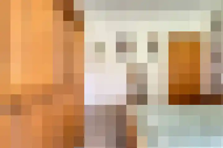 de Brinken 32 Dalen thumbnail 25