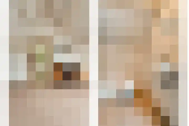 de Brinken 32 Dalen thumbnail 31