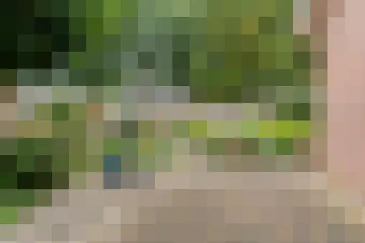 de Brinken 32 Dalen thumbnail 39