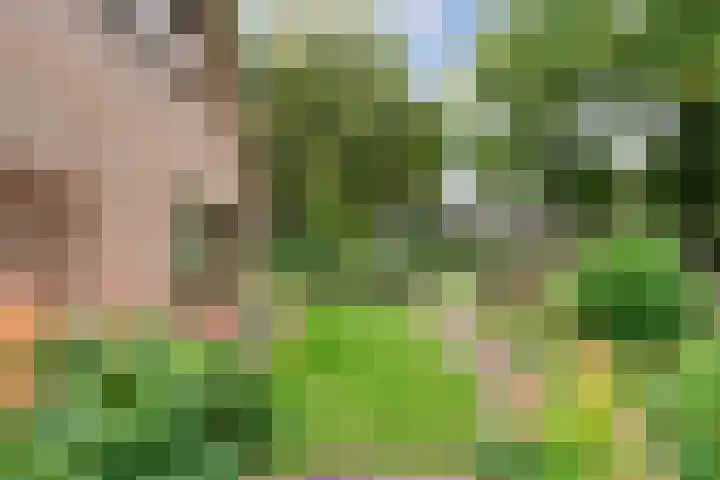 de Brinken 32 Dalen thumbnail 4