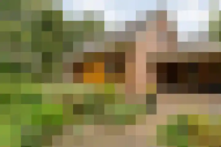 de Brinken 32 Dalen thumbnail 40