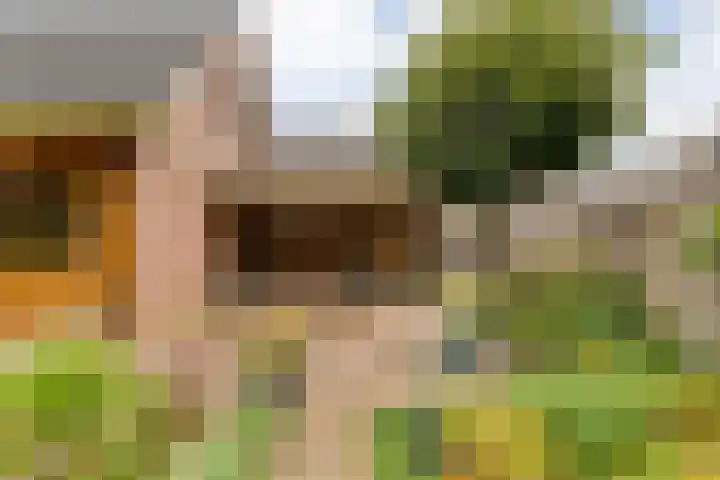 de Brinken 32 Dalen thumbnail 41