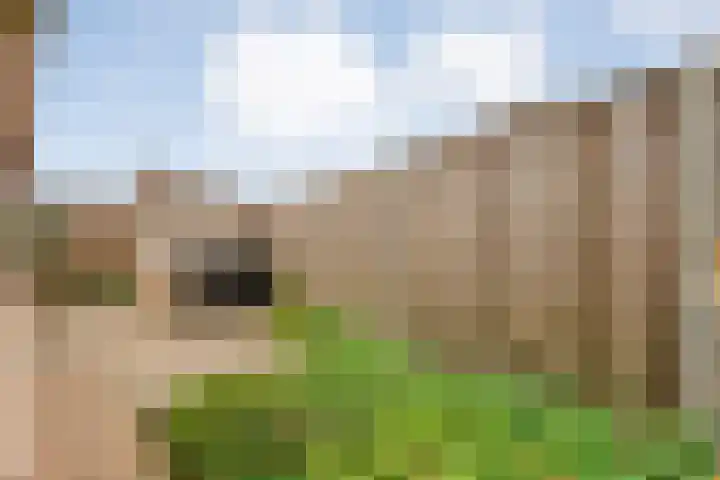 de Brinken 32 Dalen thumbnail 42