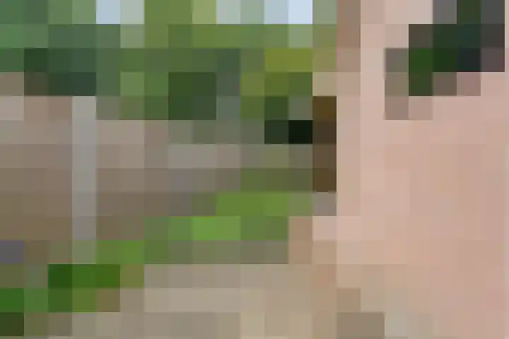 de Brinken 32 Dalen thumbnail 43