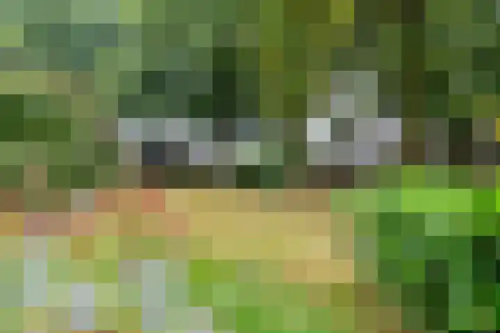 de Brinken 32 Dalen thumbnail 8