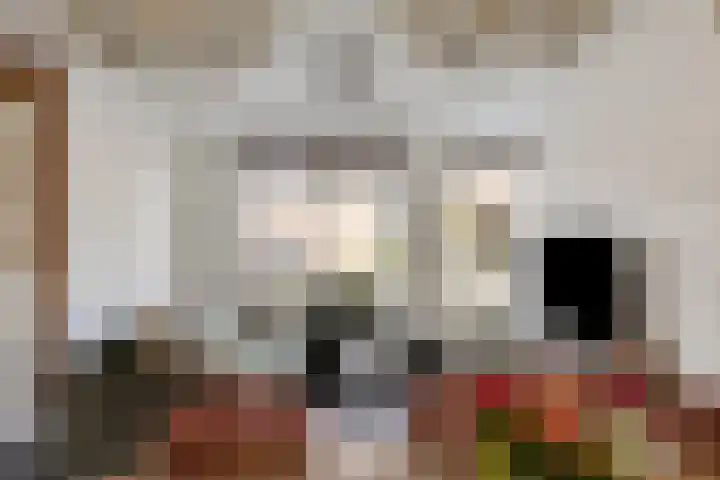 De Brouwerstraat 3 Hoogeloon thumbnail 4