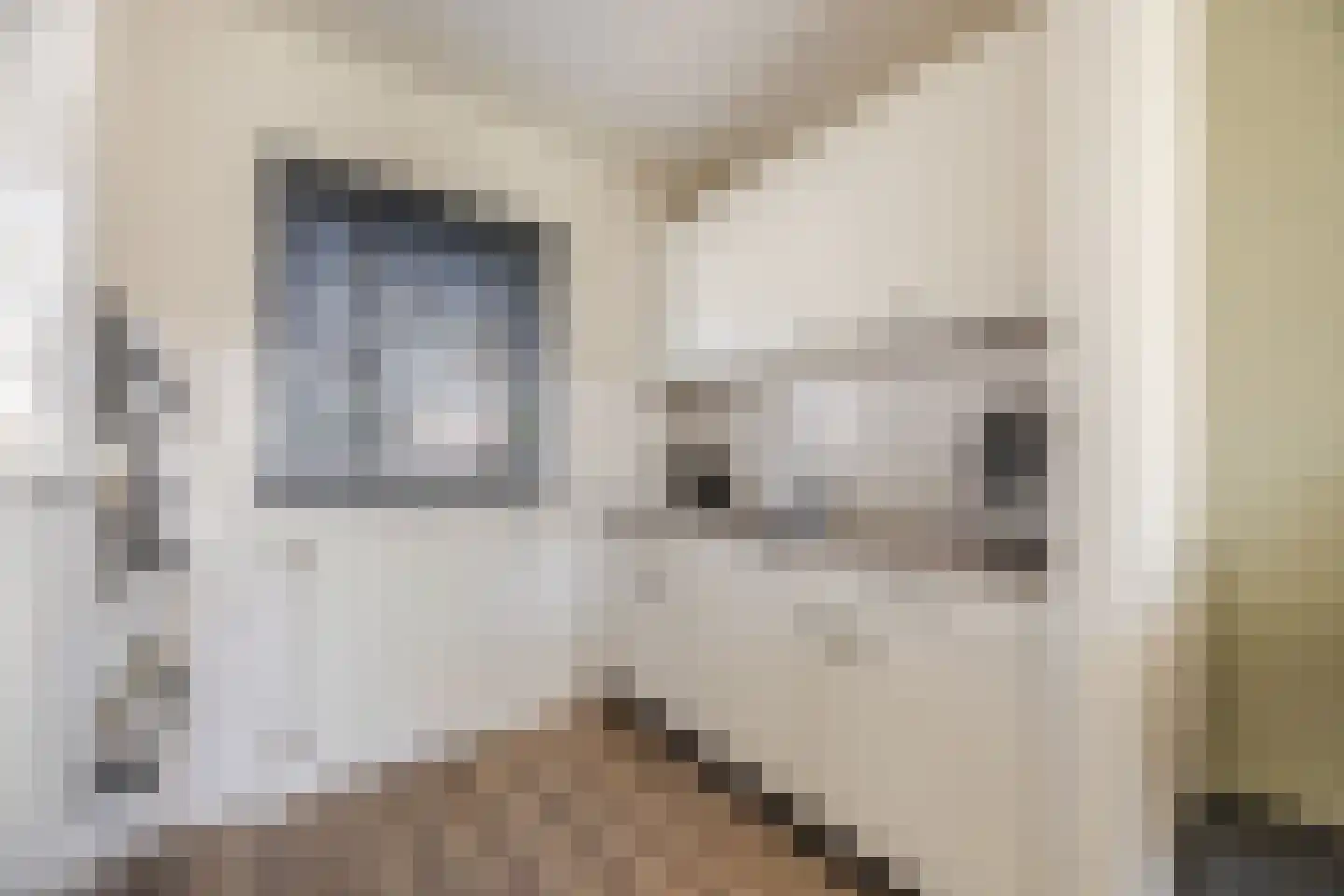 De Brouwerstraat 9 Diessen thumbnail 13