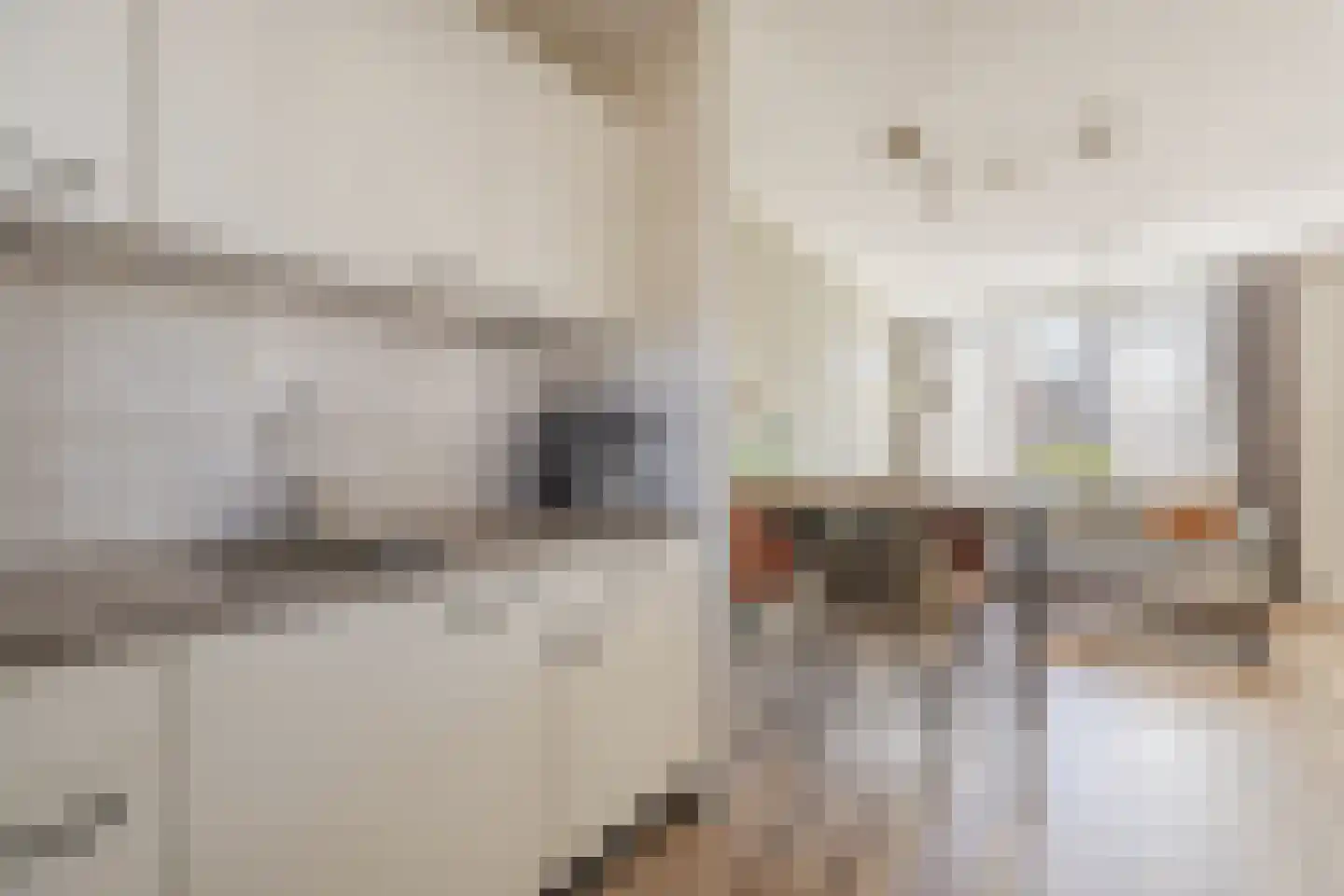 De Brouwerstraat 9 Diessen thumbnail 16