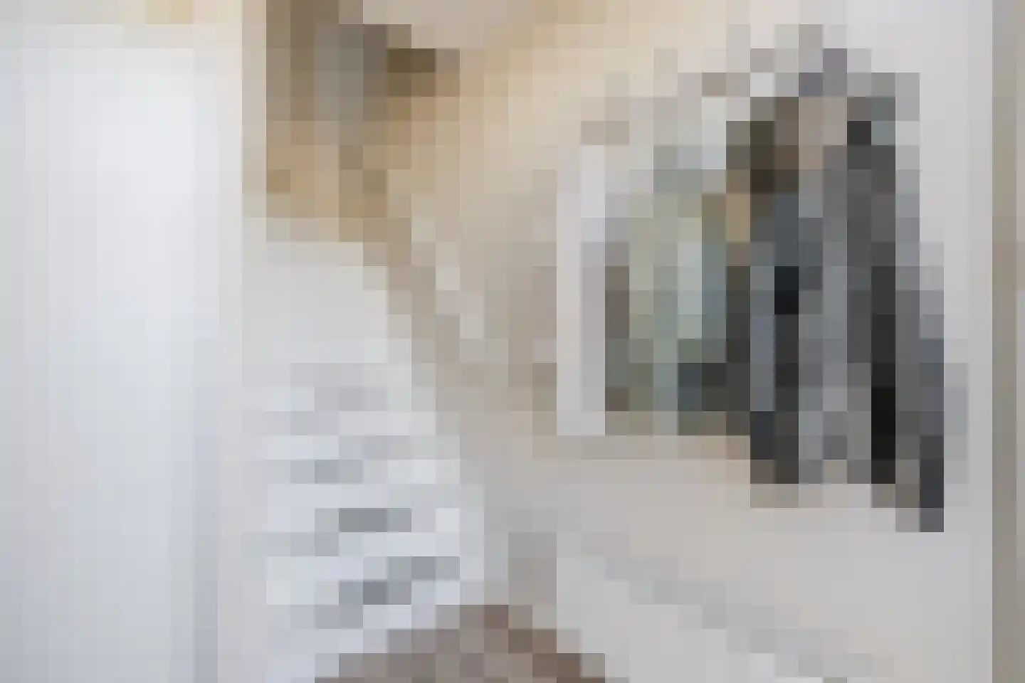 De Brouwerstraat 9 Diessen thumbnail 19