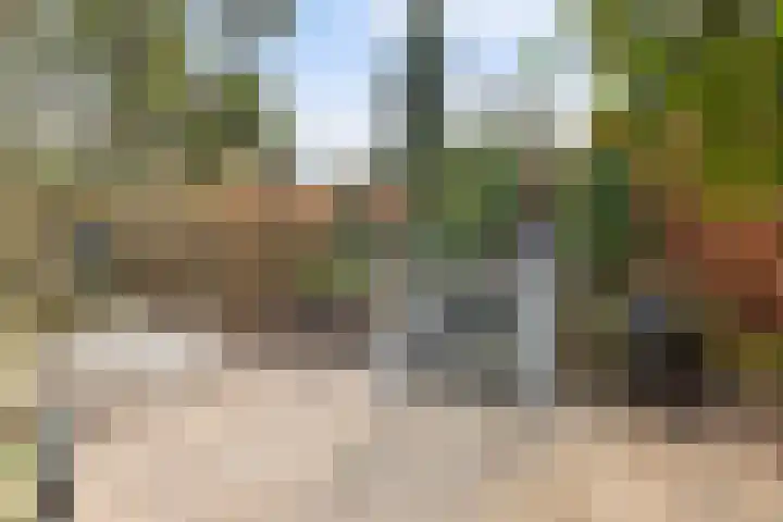 De Brouwerstraat 9 Diessen thumbnail 20