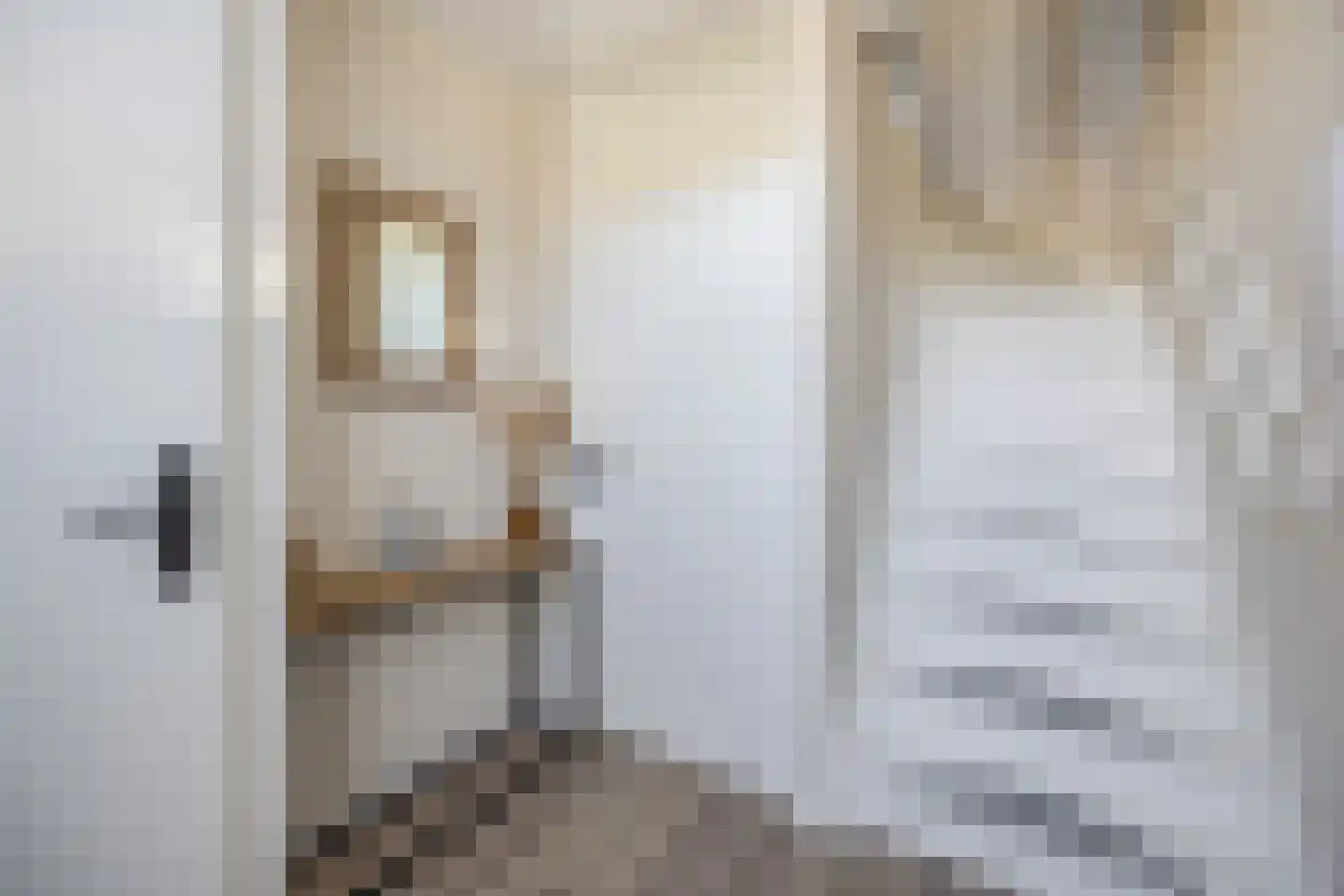 De Brouwerstraat 9 Diessen thumbnail 20