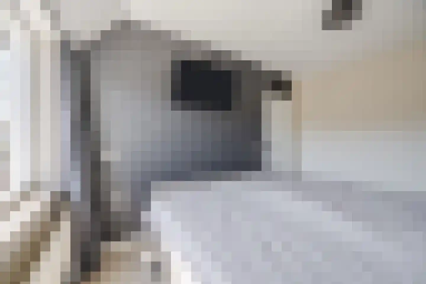 De Brouwerstraat 9 Diessen thumbnail 23