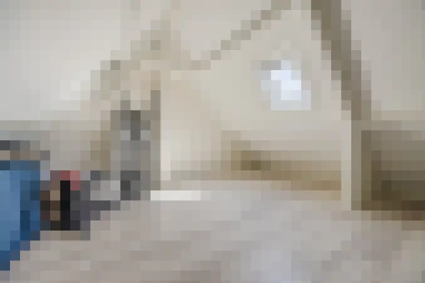 De Brouwerstraat 9 Diessen thumbnail 34
