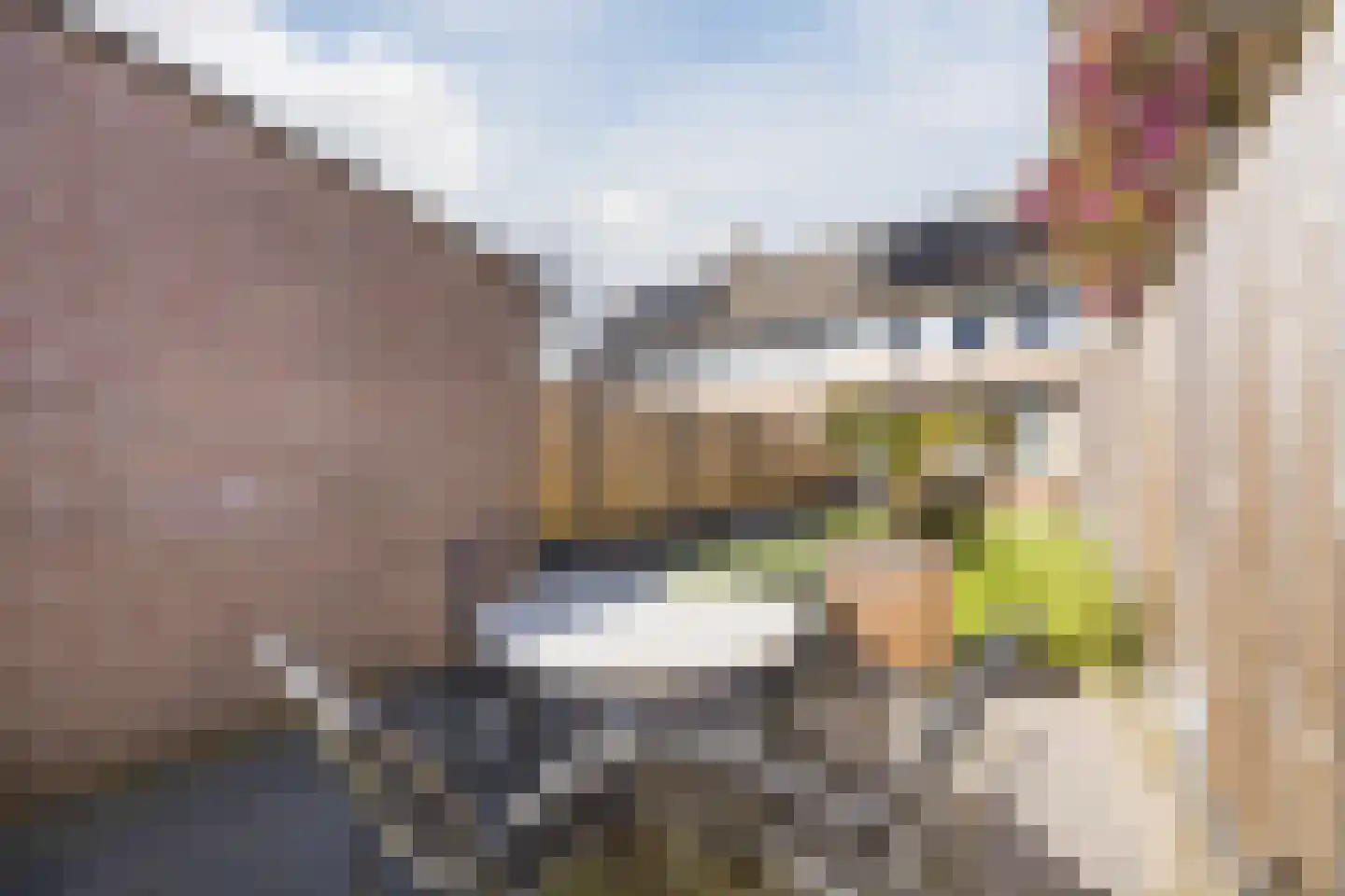 De Brouwerstraat 9 Diessen thumbnail 41