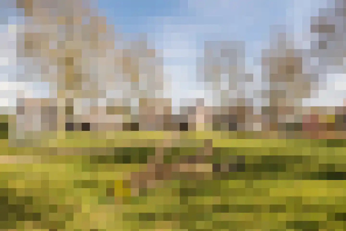 De Brouwerstraat 9 Diessen thumbnail 49