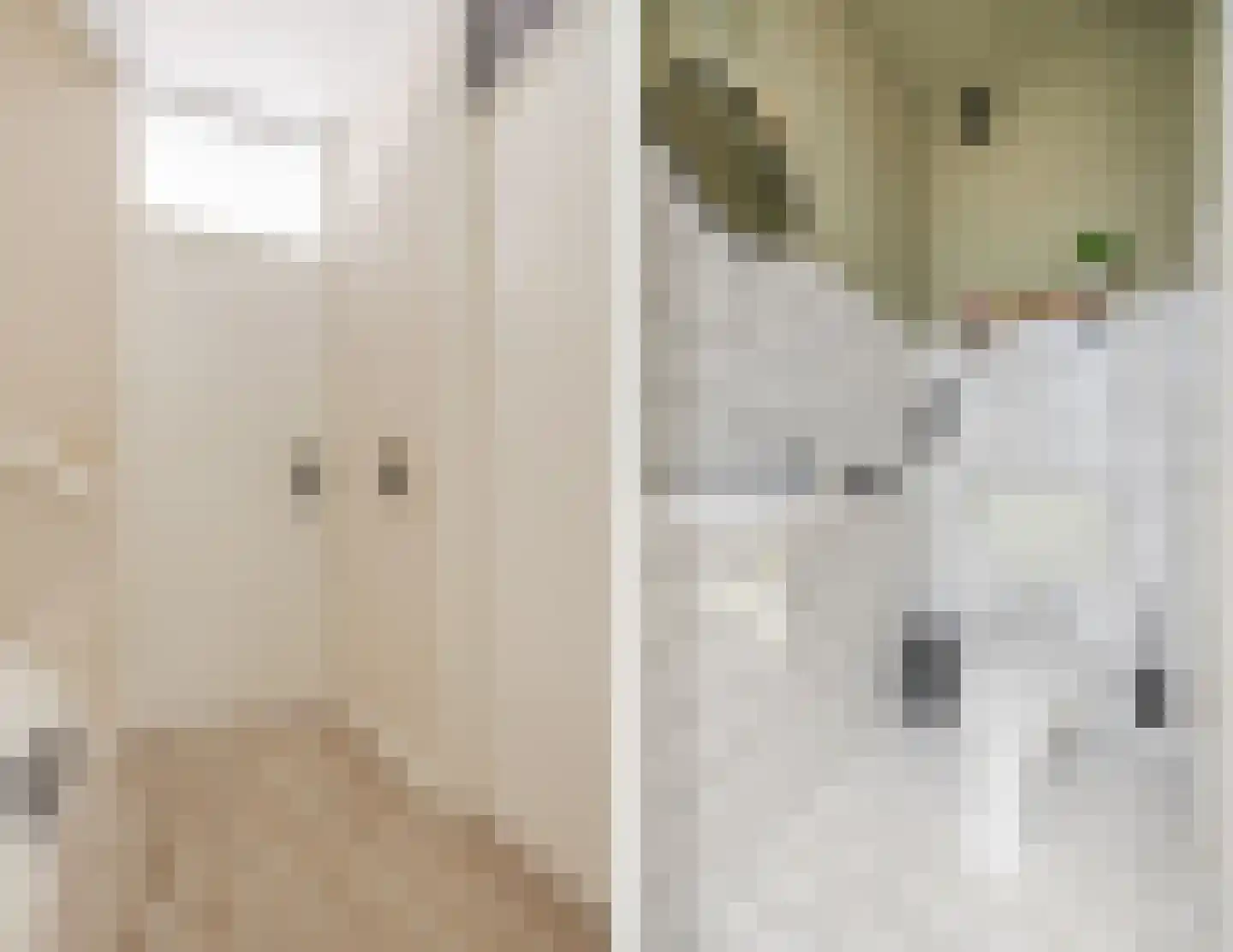 De Brouwerstraat 9 Diessen thumbnail 5