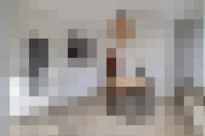 De Brouwerstraat 9 Diessen thumbnail 50