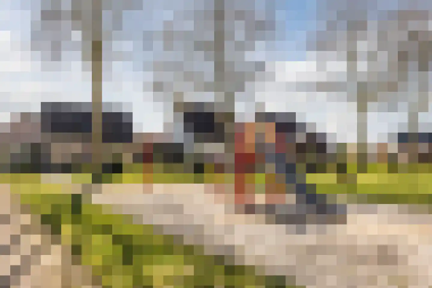 De Brouwerstraat 9 Diessen thumbnail 50