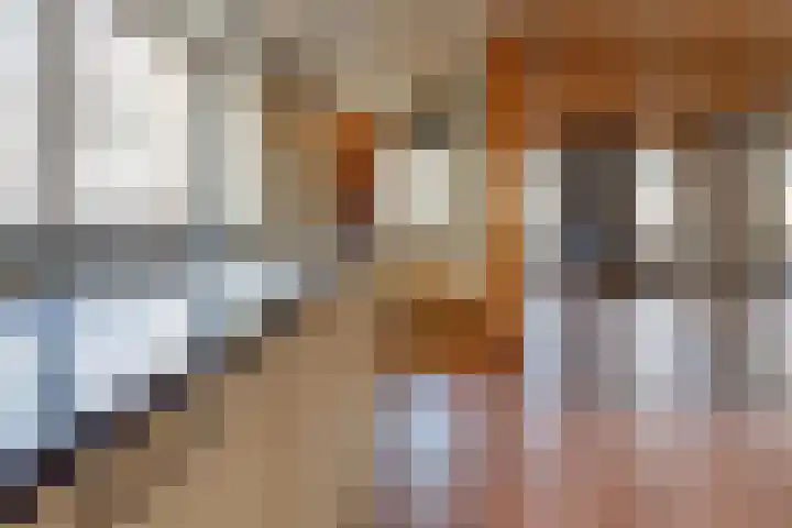 De Bruilweg 8 Ter Apel thumbnail 15