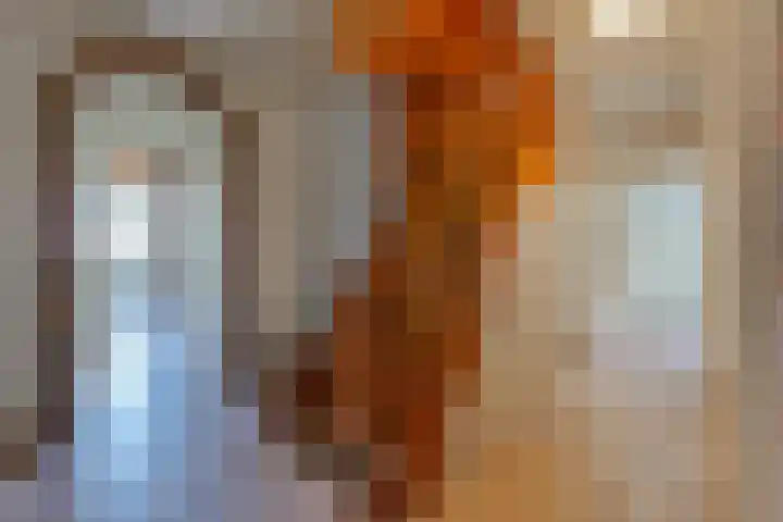 De Bruilweg 8 Ter Apel thumbnail 17