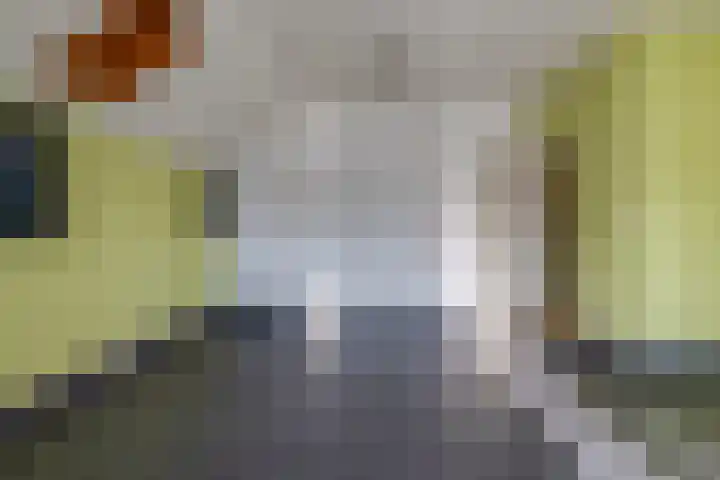 De Bruilweg 8 Ter Apel thumbnail 30