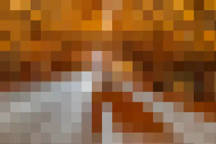 De Bruilweg 8 Ter Apel thumbnail 36