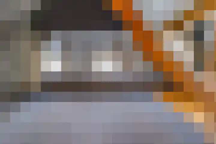 De Bruilweg 8 Ter Apel thumbnail 38