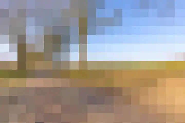 De Bruilweg 8 Ter Apel thumbnail 4
