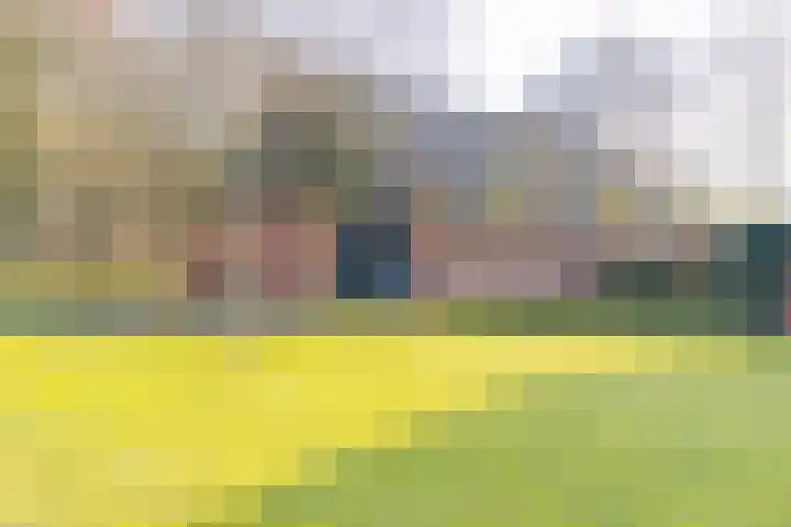 De Bruilweg 8 Ter Apel thumbnail 40